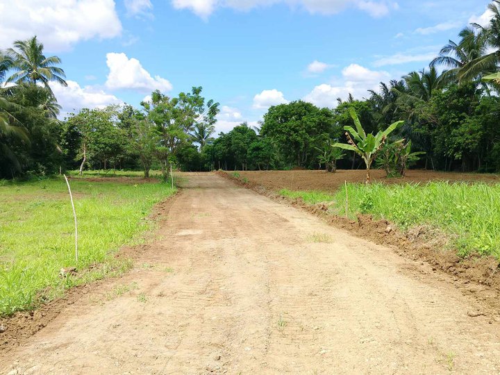 351 sqm residential lot  in Alfonso payable up to 5 yrs 0% interest