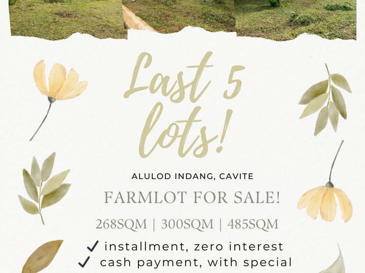 300 sqm Residential Lot For Sale in Indang Cavite- Along the Highway