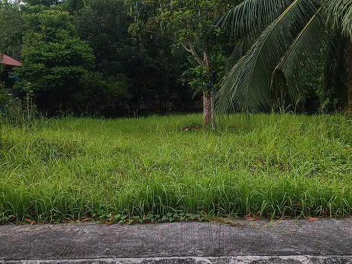 750 sqm Hacienda Lot For Sale in Lipa Batangas