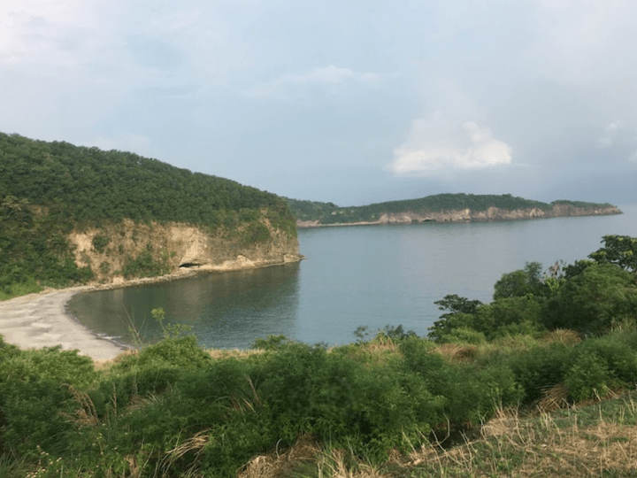 Consolidated Agricultural Lots For Sale in Ternate, Cavite