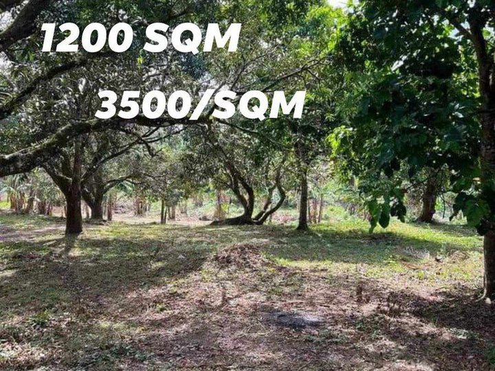 1,200 sqm Residential Farm For Sale in Indang Cavite- INSTALLMENT