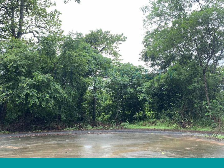 1519 sqm Residential Lot For Sale in Forest Farms, Angono Rizal