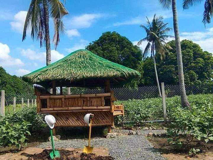 For Sale 150 sqm Residential Farm For Sale in San Juan Batangas