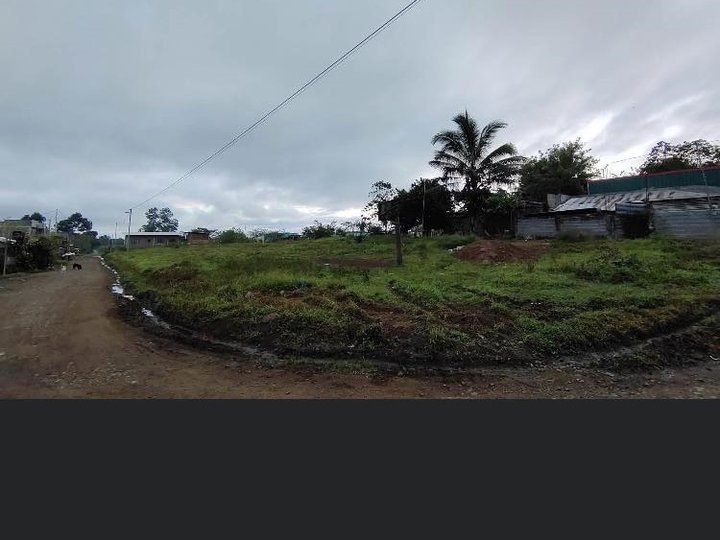 4,498 sqm Residential Farm For Sale in Calanawan, Manolo Fortich Buk.