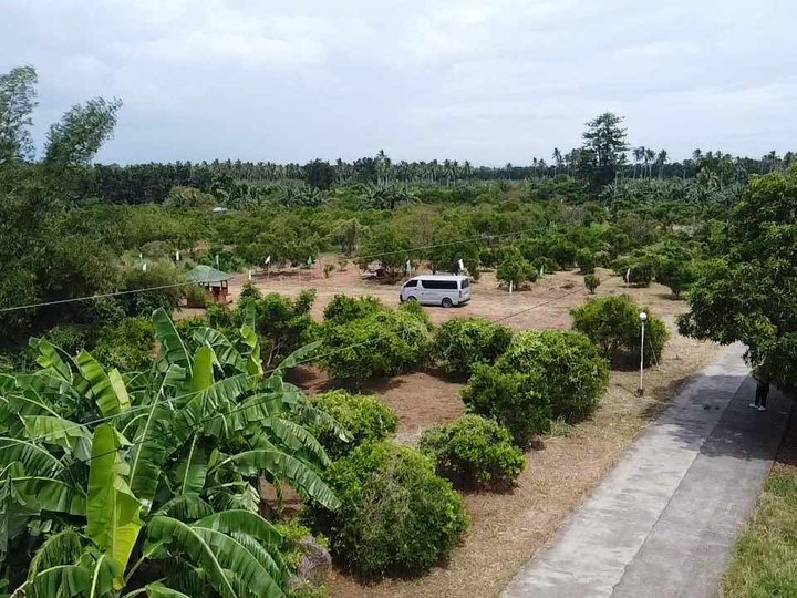 100 sqm lot in Padre Garcia Batangas