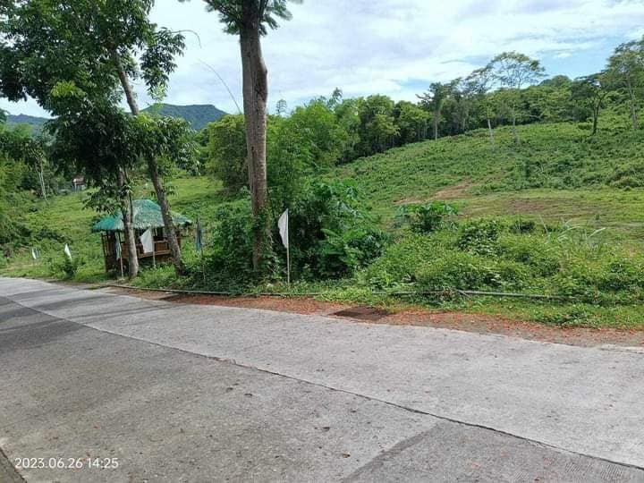 300 sqm Residential Lot For Sale in Batangas City Batangas