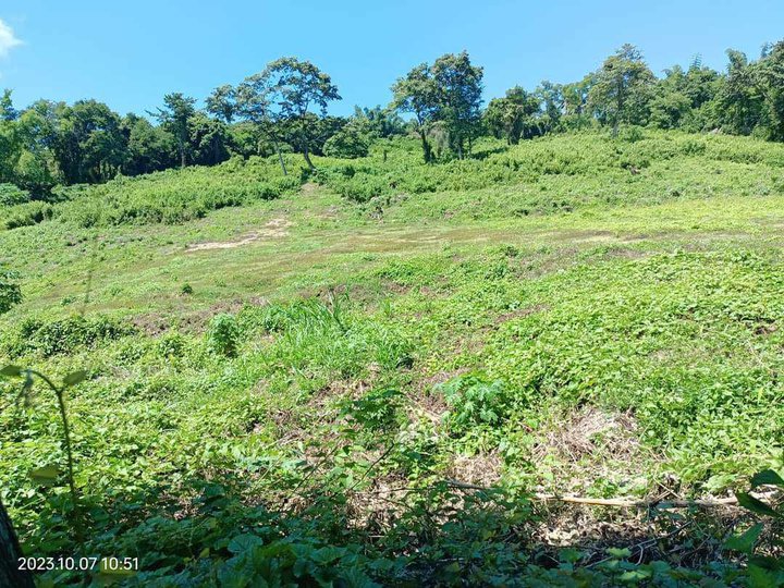 100 sqm Residential Lot For Sale in Batangas City Batangas