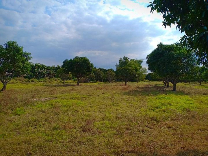 66,500 SQM Farm Lot for Sale in San Ildefonso Bulacan