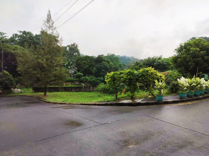 Lot For Sale In Alta Monte Green Executive Village Taytay Rizal