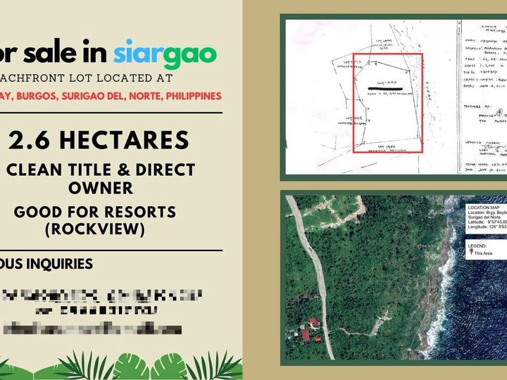 2.6 HECTARES BEACH PROPERTY FOR SALE IN SIARGAO