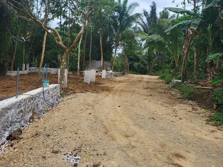 Farm lot for sale accessible to all with fruits bearing