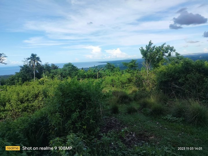 Seaview lot for sale 7,099 sqm clean title at Clarin Bohol 300/sqm