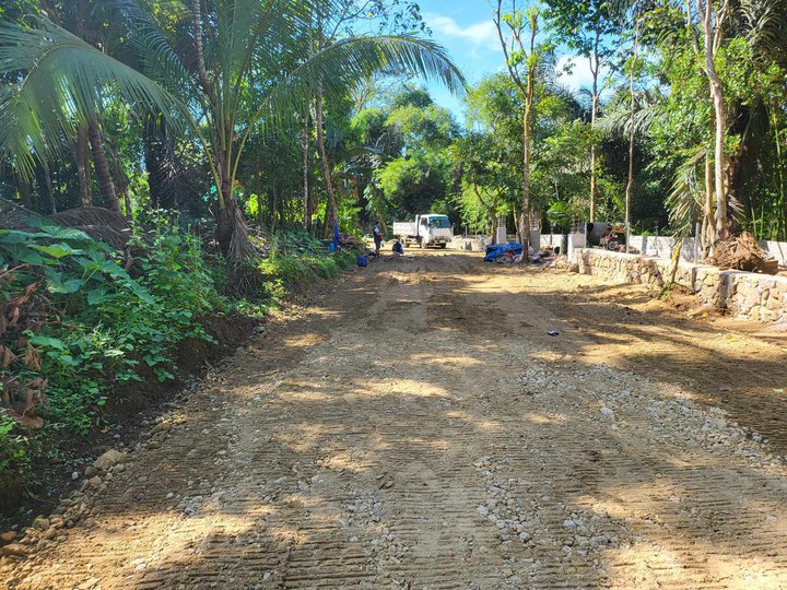 Residential Farm lot - Agricultural land in Alfonso Cavite