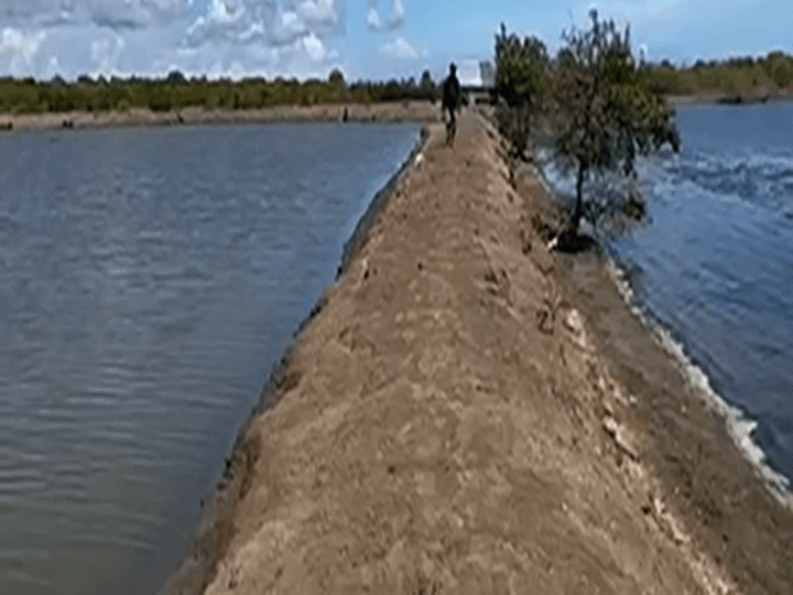 High productive fishpond property