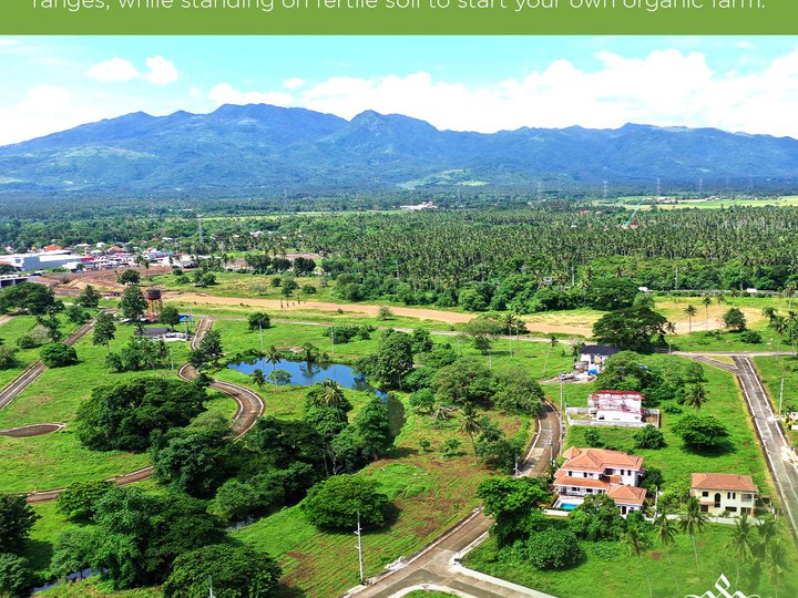 Residential Farm  lots for sale  in HACIENDA ESCUDERO Tiaong Quezon