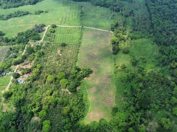 1,000 sqm Residential Farm For Sale in Indang Cavite