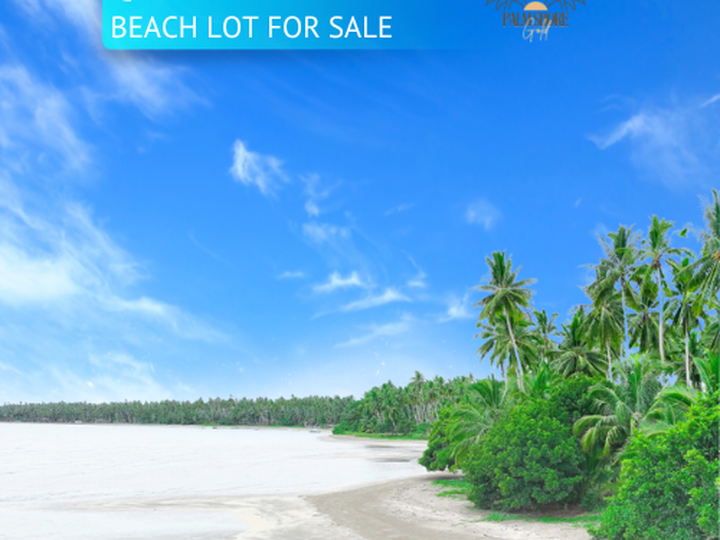 Palawan Beach Lot - Preselling Beach lot 793sqm property for sale in Quezon Palawan