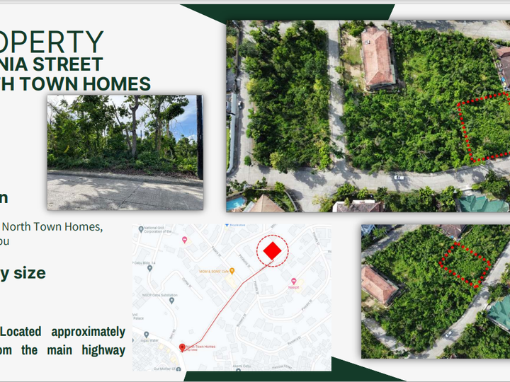 931 sqm Residential Lot For Sale in North Townhomes Mandaue City  Cebu