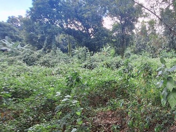 Foreclosed 2.13 hectares Residential Lot For Sale in Quezon City
