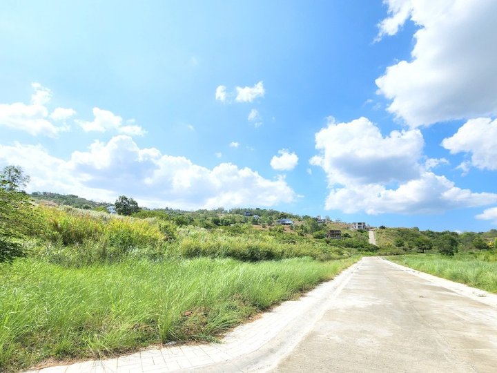 LOTS FOR SALE IN Village East III - Bluebird Valley  Angono - Binangonan Rizal