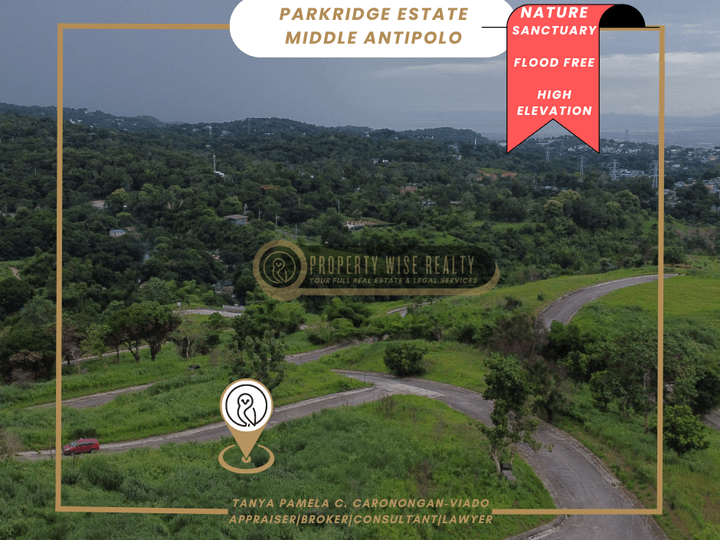 Captivating Views | Parkridge Antipolo Lot