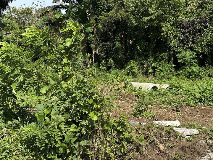 Lot for Sale -Farm for Sale in Cavite