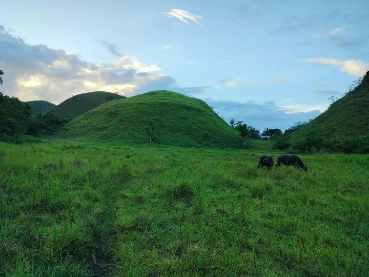 Farm lot 88,000 sqm  ideal farming & mountain resort Sagbayan Bohol