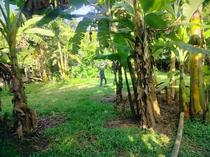 Lot for sale 909 sqm near golf course Liloan Cebu 3,500/sqm