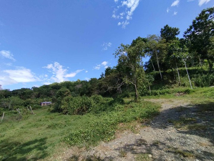 Residential Lot For Sale in San Pedro, San Jose De Buenavista Antique