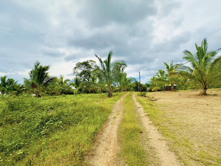 500 sqm Residential Farm Lot and Farm lot for Sale in Balanga Bataan