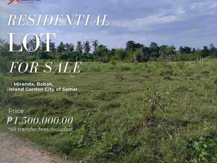 500 sqm Residential Lot For Sale in Samal Davao Del Norte