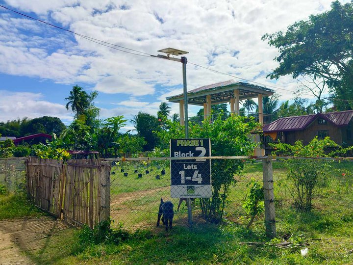 Residential Farm For Sale 540 sqm near Tagaytay in Alfonso Cavite
