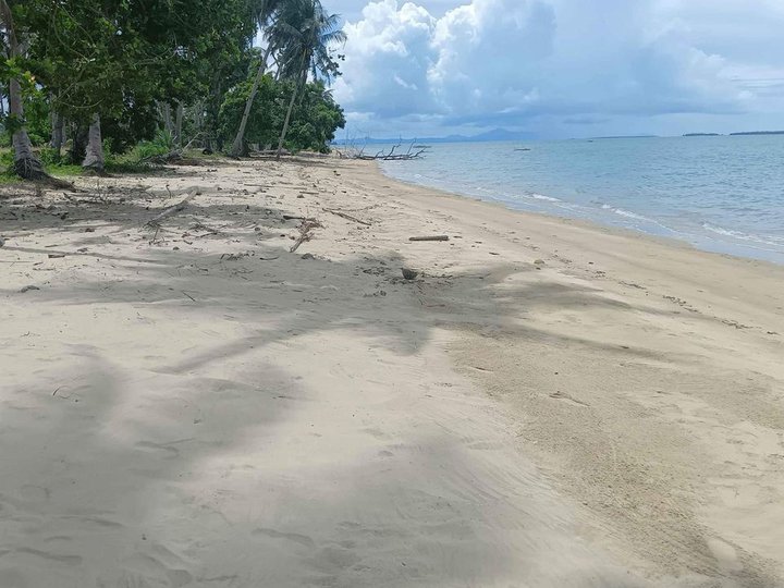 3,647 sqm Subdivided Beach Lot in Roxas Palawan