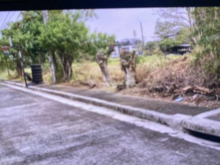 300 sqm Residential Lot For Sale in Fairview Quezon City / QC