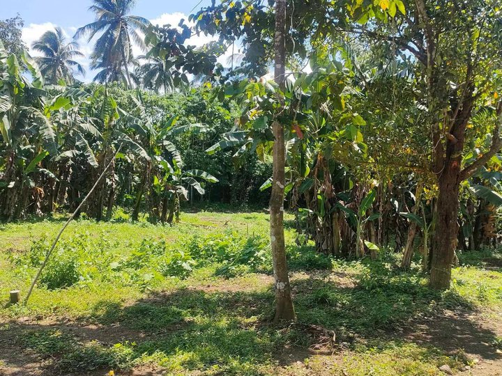 400 sqm Residential Farm For Sale in Indang Cavite