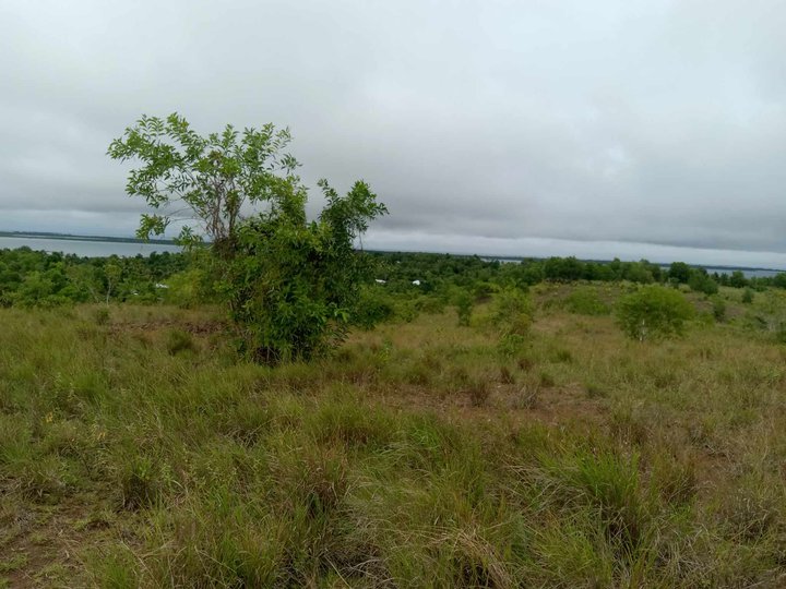 Lot for sale 5.2 hectares title overlooking to the sea