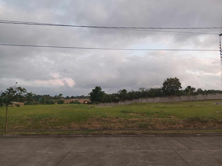 Residential Lot for Sale in Nuvali Estate Laguna near Miriam Collage