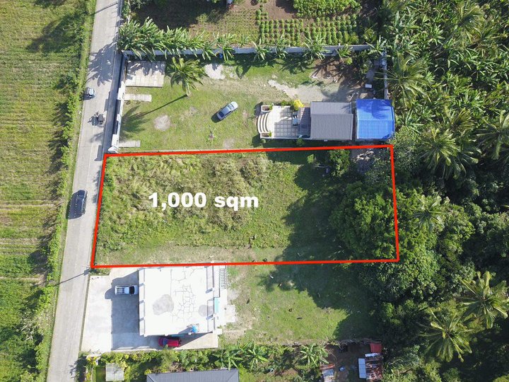Residential / Semi-Commercial Lot for Sale