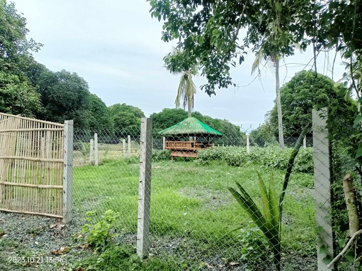 125 sqm Residential Farm For Sale in San Juan Batangas