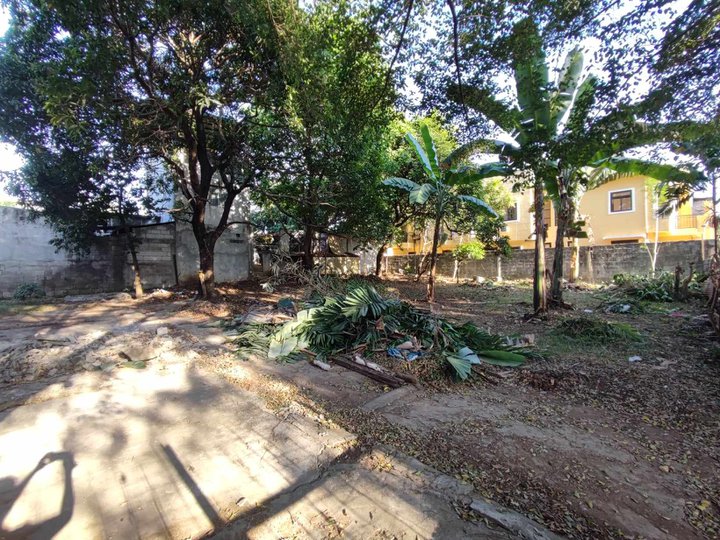 480 sqm Residential Lot For Sale in Almar Subdivision, Caloocan