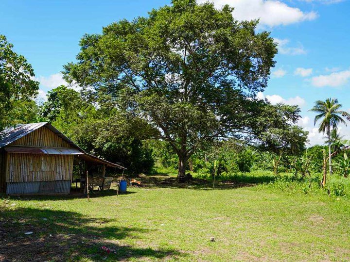 Residential Farm Lot For Sale In Indang Cavite