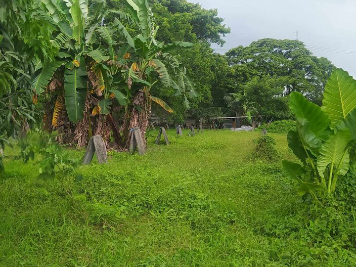 For Sale: Residential / Farm Lot in Pandi, Bulacan - Invest Now!!!