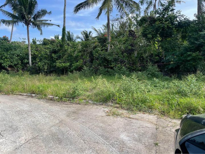 Residential Lot for Sale near in Tagaytay City