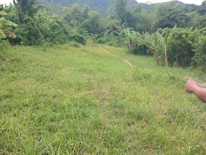 FORSALE LOT ONLY IN Guadalupe Spring Valley  ,Guadalupe Carcar