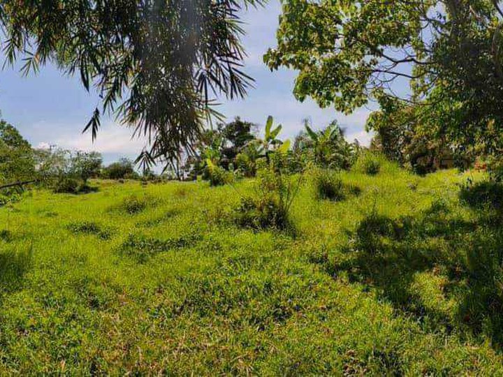282 sqm Agricultural Farm Lot For Sale in Alfonso Cavite