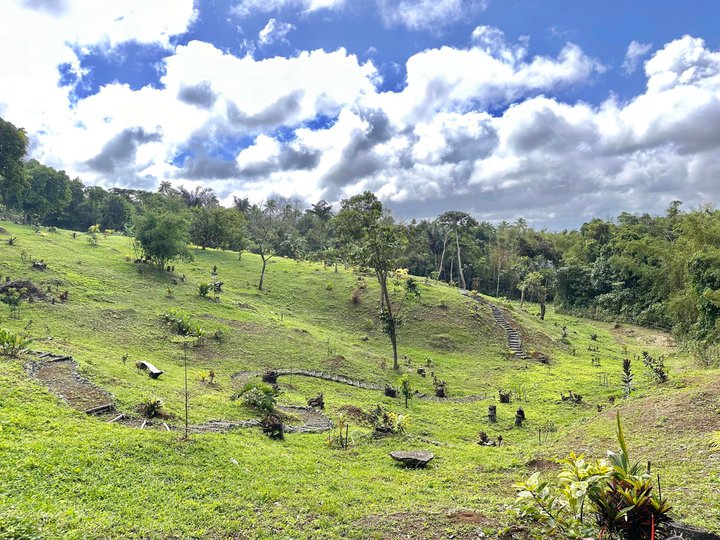 Farm and Resort lot overlooking  Caliraya Lake and Mount Banahaw view