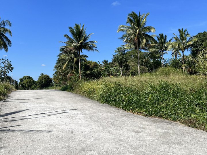 110SQM READY FOR HOUSING RESIDENTIAL LOT FOR SALE IN MENDEZ