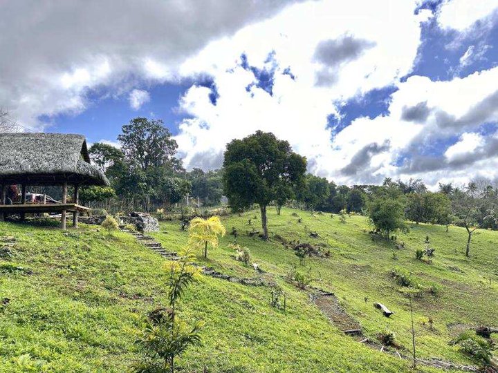 Titled Farm and Resort Area For Sale in Caliraya, Cavinti, Laguna