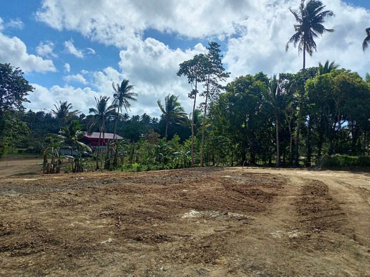 Affordable lot in Alfonso