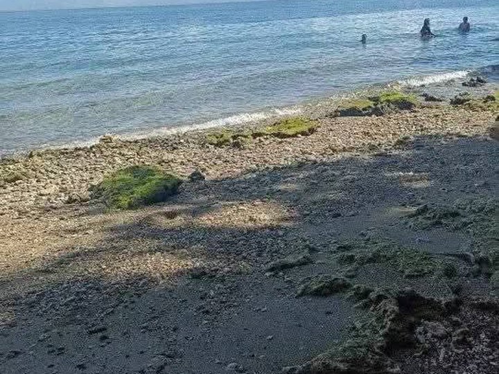 Beach front, Beach Lot Samal . Contact Marie Cyll Garcia
